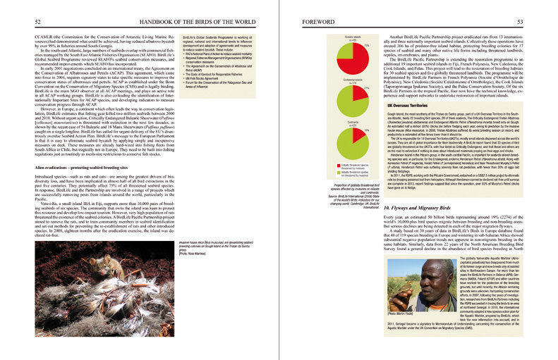 Special Volume: New Species and Global Index sample page